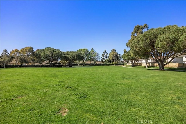 view of property's community featuring a lawn