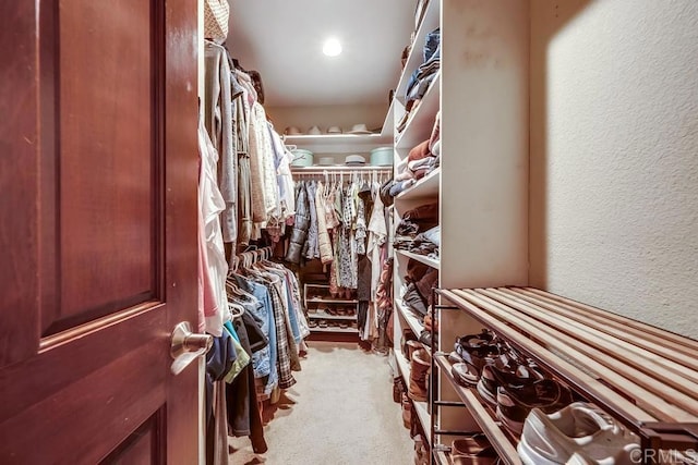 walk in closet featuring carpet floors