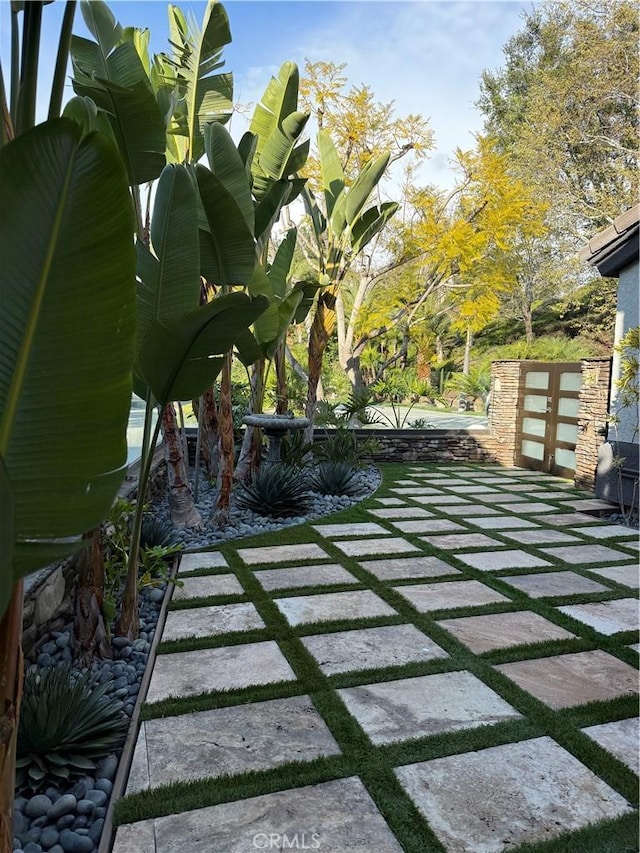 view of yard with a patio area