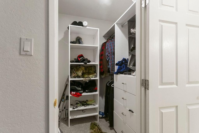 view of walk in closet