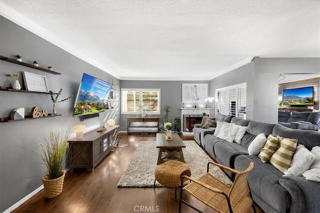 living room featuring wood finished floors, crown molding, a fireplace with raised hearth, and a textured ceiling