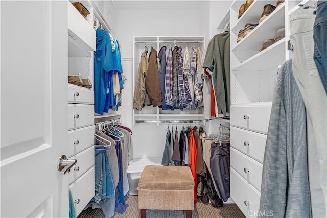 view of walk in closet