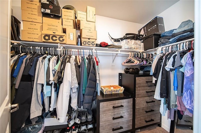 spacious closet with carpet