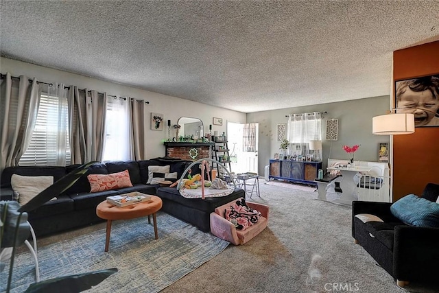 carpeted living area featuring a textured ceiling