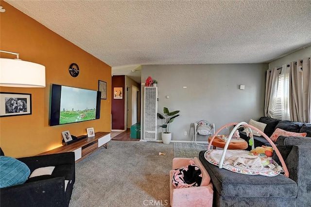 carpeted living room with a textured ceiling