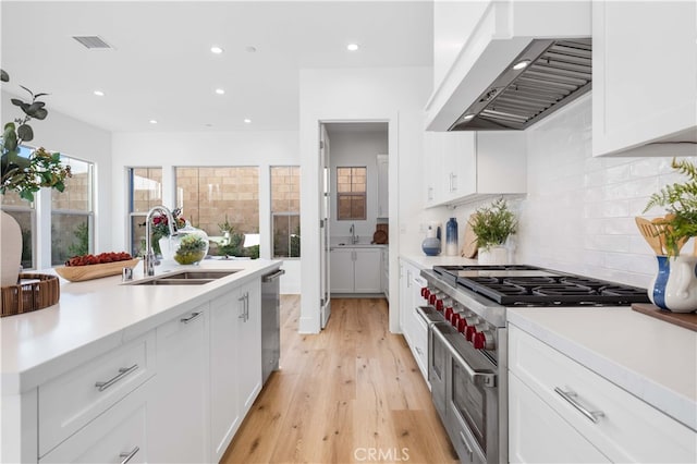 kitchen with white cabinets, appliances with stainless steel finishes, wall chimney exhaust hood, and a sink