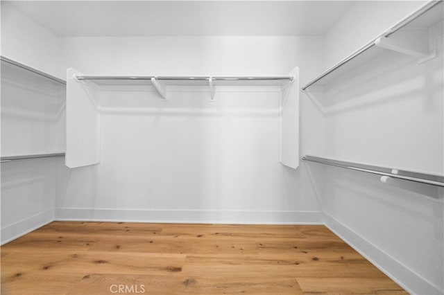 walk in closet with light wood-style flooring