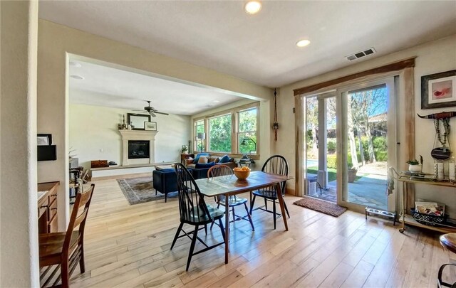 dining area featuring visible vents, a glass covered fireplace, recessed lighting, light wood-style floors, and ceiling fan