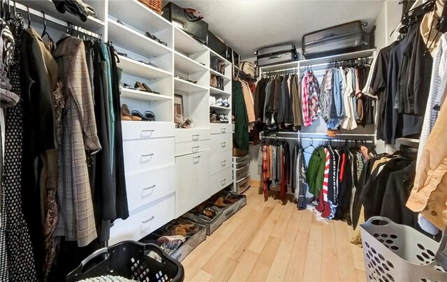 spacious closet with wood finished floors