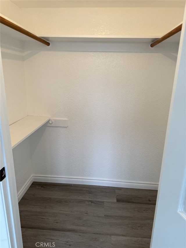 walk in closet with dark wood-style flooring