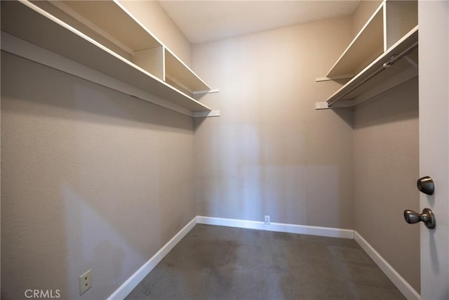 view of walk in closet