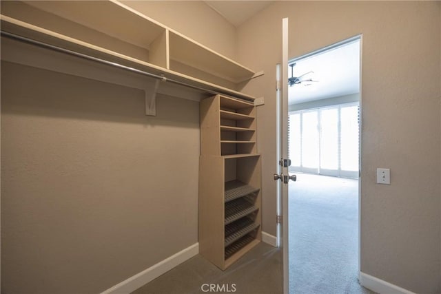 spacious closet featuring carpet floors