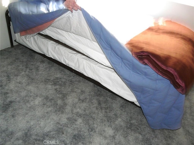 bedroom featuring carpet flooring