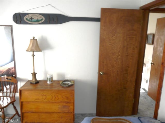 bedroom featuring carpet flooring