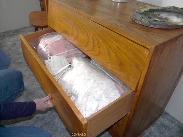 interior details with carpet flooring