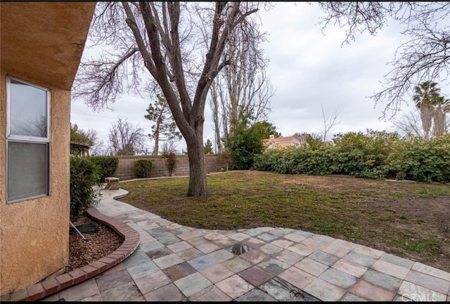 view of yard featuring a patio area and a fenced backyard