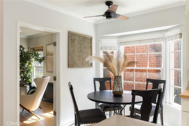 dining area with ceiling fan, wood finished floors, and crown molding