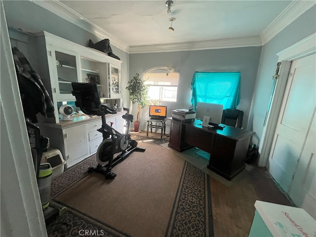 office space featuring wood finished floors and crown molding