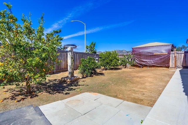 view of yard with a patio area and a fenced backyard