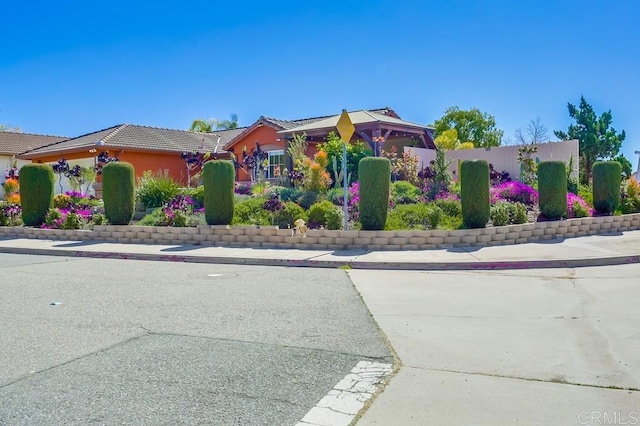 view of front of property with a tiled roof and stucco siding