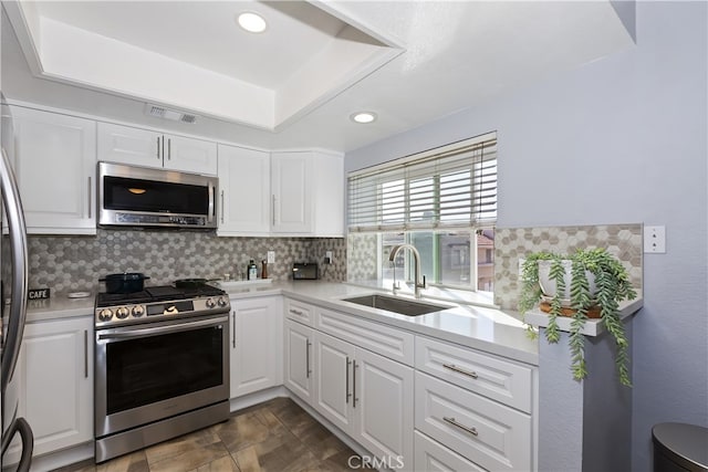 kitchen featuring backsplash, stainless steel appliances, a raised ceiling, and a sink