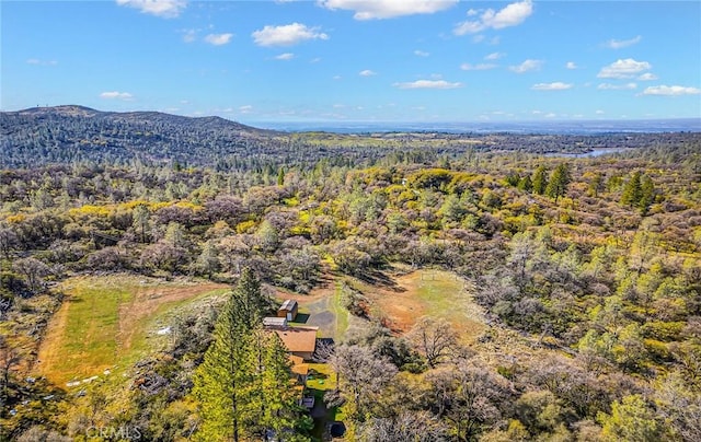 bird's eye view featuring a mountain view and a view of trees