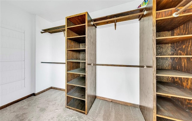 walk in closet featuring carpet flooring