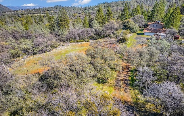 birds eye view of property with a forest view