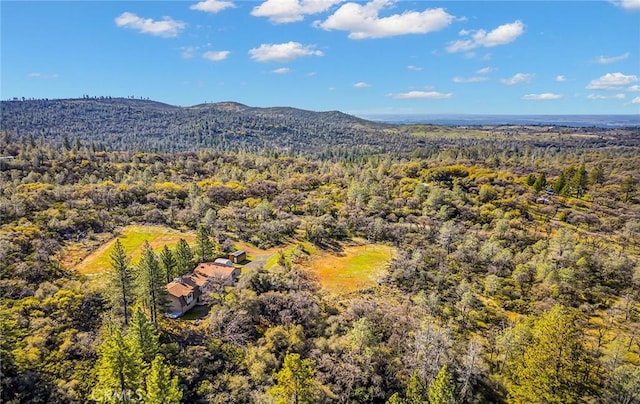 drone / aerial view featuring a mountain view and a view of trees