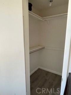 spacious closet featuring wood finished floors