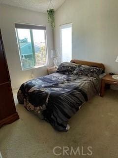 carpeted bedroom with a textured ceiling and lofted ceiling