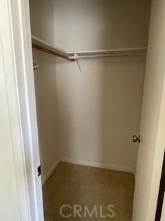 view of closet