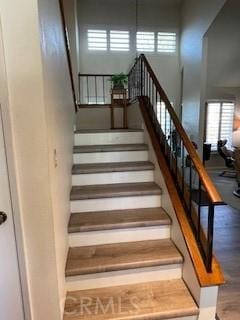 stairway featuring a wealth of natural light, a high ceiling, and wood finished floors