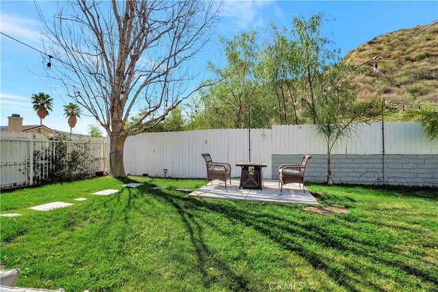 view of yard with a patio area and a fenced backyard