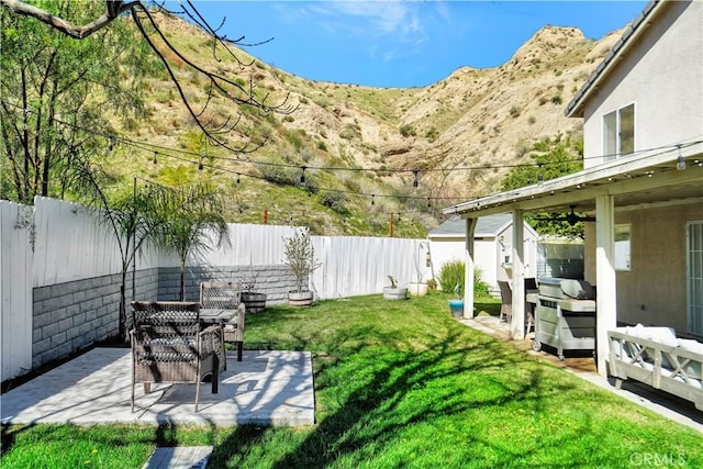 view of yard featuring a storage shed, a patio area, a fenced backyard, and an outdoor structure