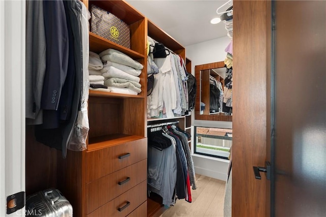 spacious closet featuring wood finished floors