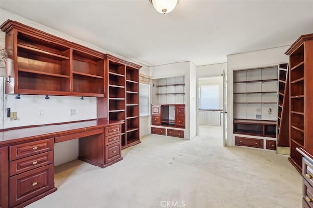 unfurnished office with light colored carpet and built in desk