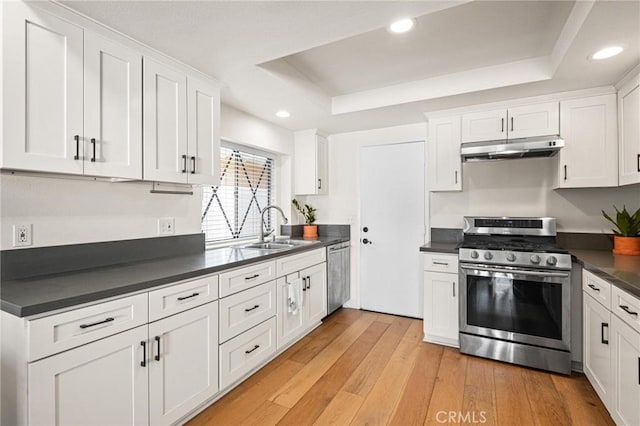 kitchen featuring dark countertops, a sink, under cabinet range hood, appliances with stainless steel finishes, and a raised ceiling