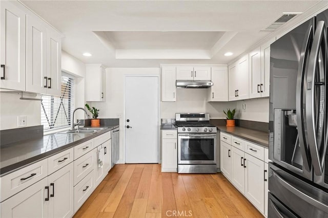 kitchen with dark countertops, under cabinet range hood, a tray ceiling, appliances with stainless steel finishes, and a sink