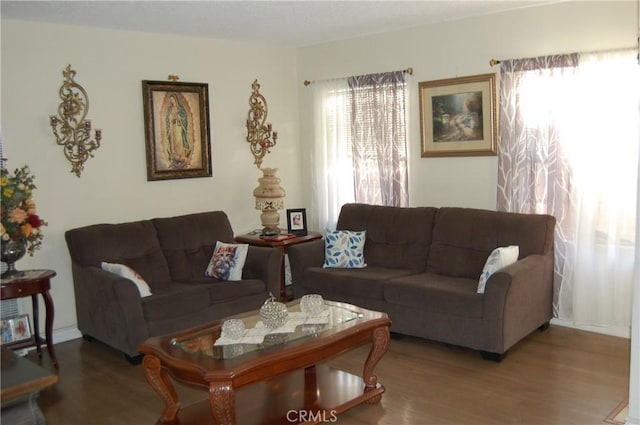 living area featuring wood finished floors