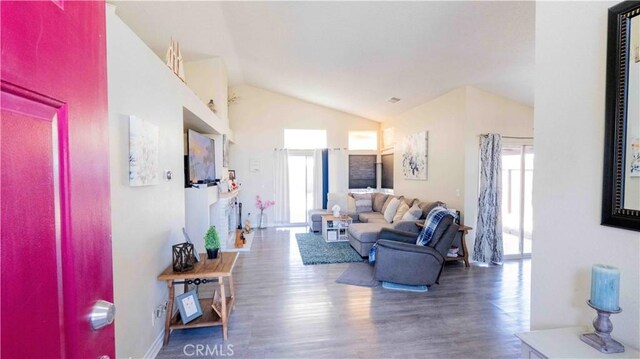 living room with lofted ceiling and wood finished floors