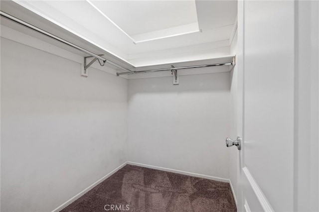 spacious closet featuring carpet flooring