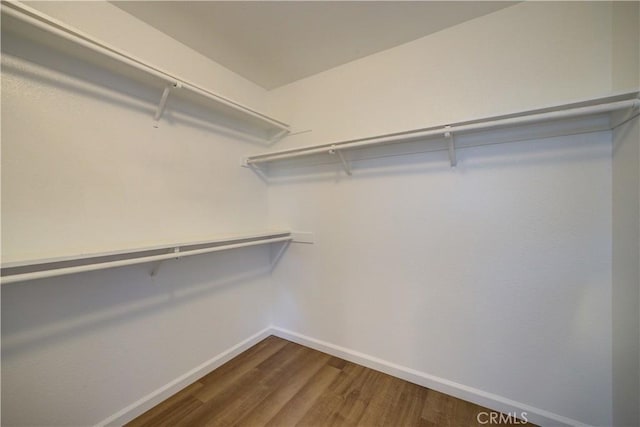 walk in closet featuring dark wood-style flooring