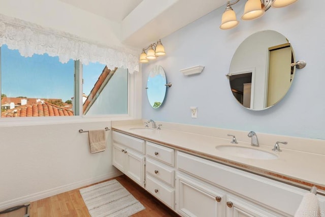 bathroom with a sink, baseboards, wood finished floors, and double vanity