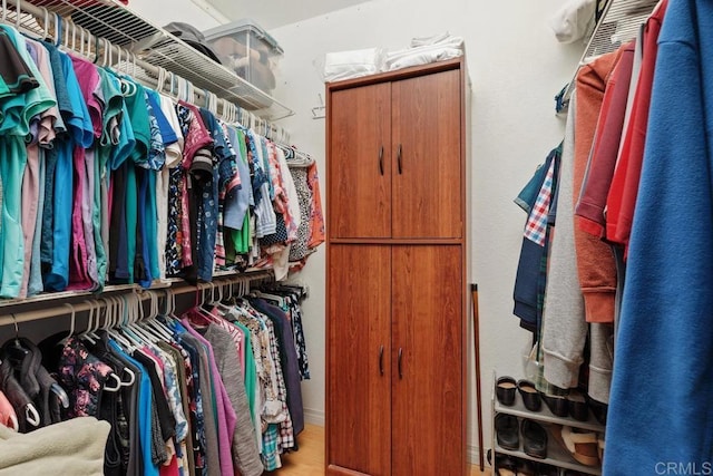 spacious closet featuring wood finished floors