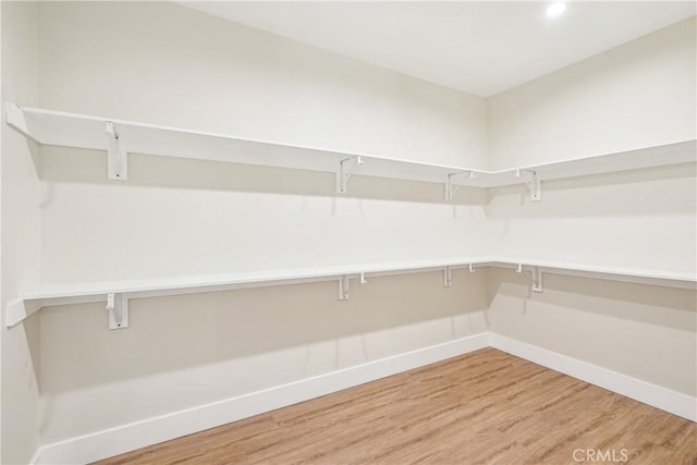 walk in closet featuring light wood-style flooring