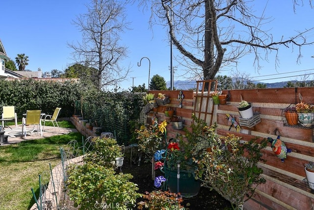 view of yard with a patio and a fenced backyard