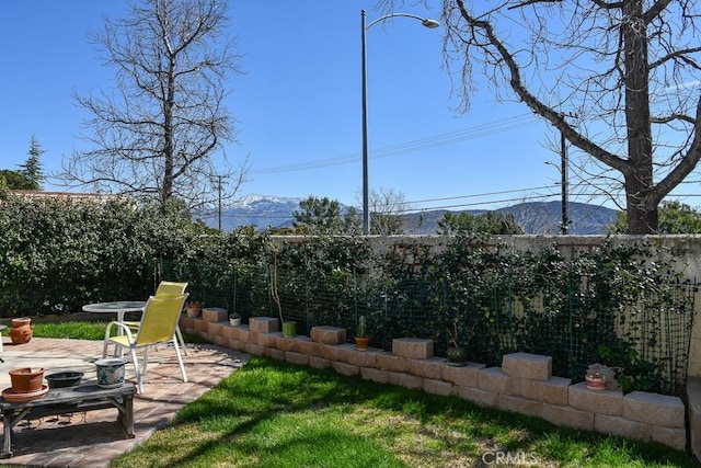 view of yard with a mountain view, a patio, and a fenced backyard