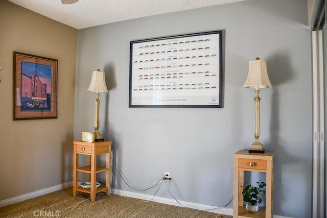 room details with baseboards, carpet floors, and a textured ceiling