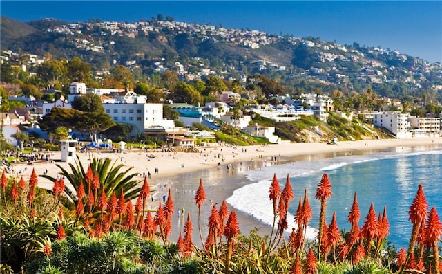 aerial view with a view of the beach and a water view